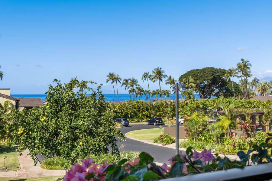Maui vacation agency
