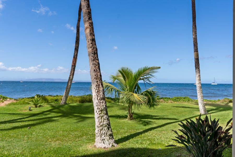 Maui Vacation Rental