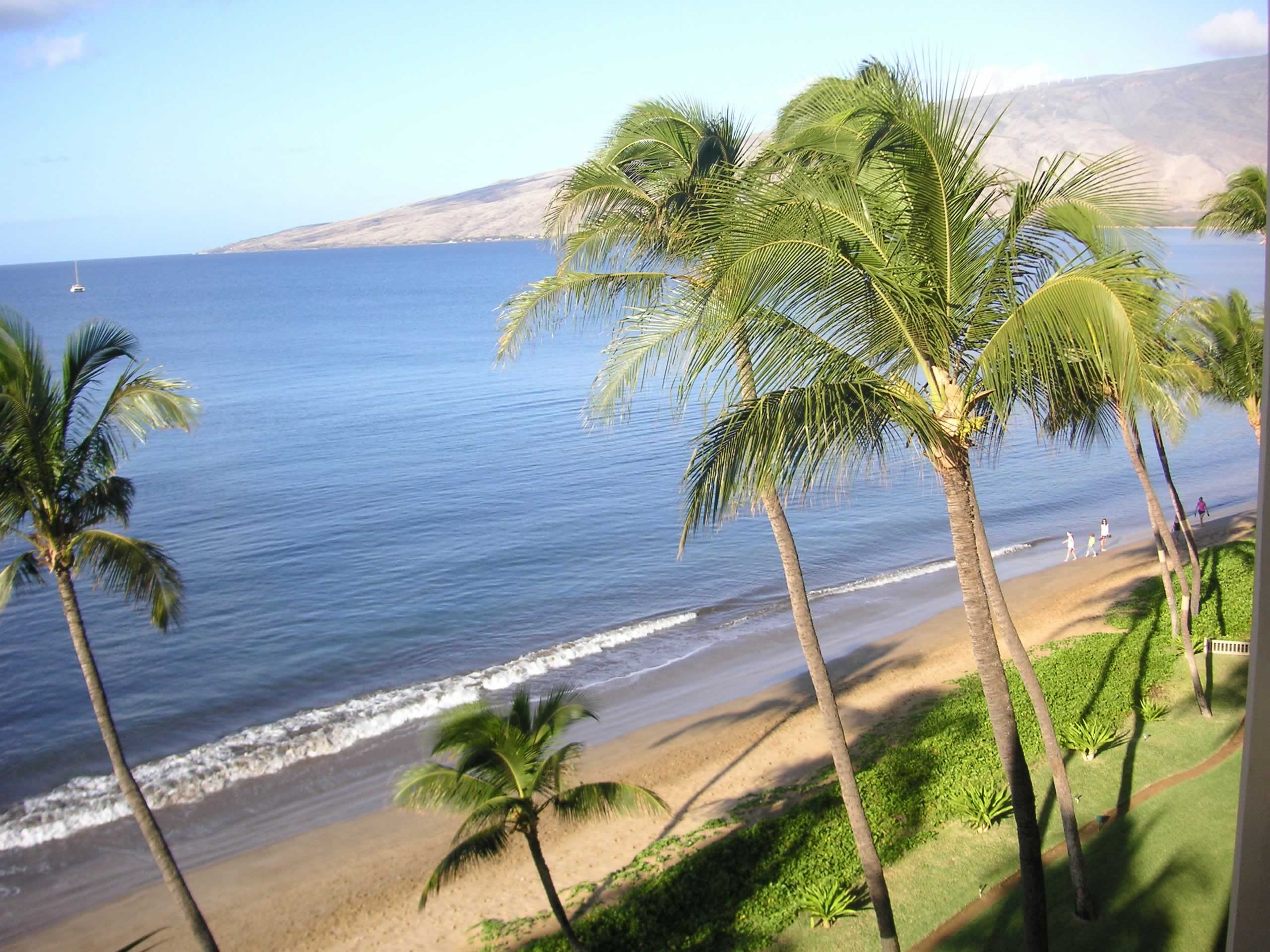 Maui Wailea Condo