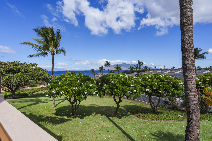 Best beaches in Maui