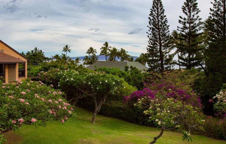 Best beaches in Maui