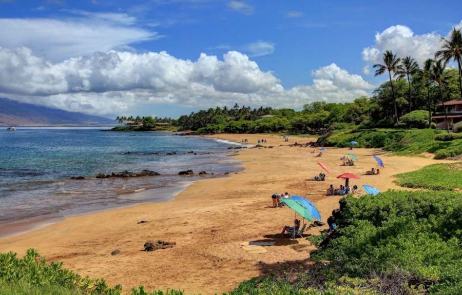 Wailea Oceanfront Condo
