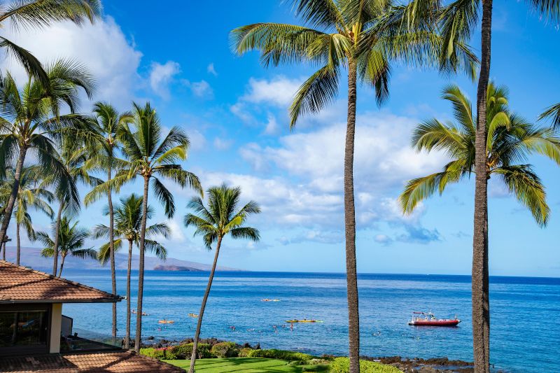 Maui Vacation Rental
