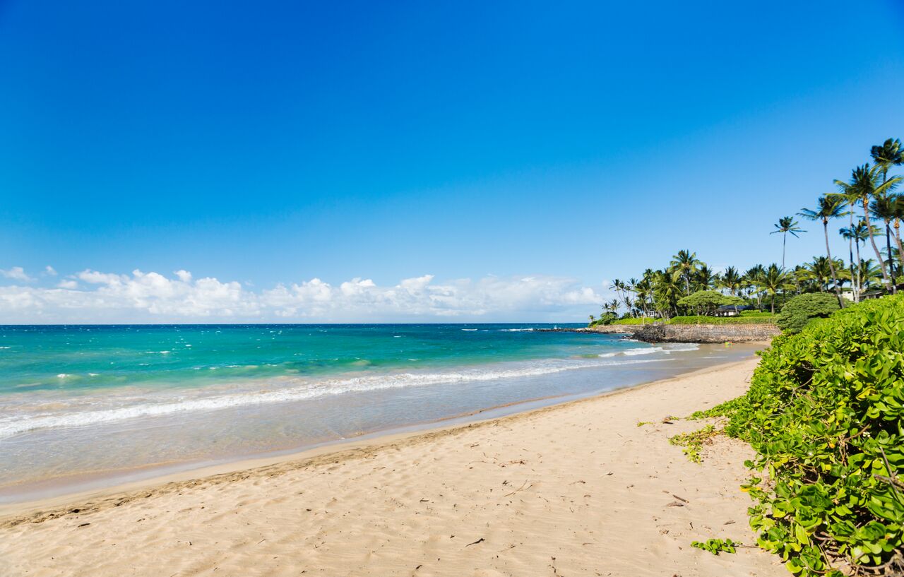 Makena Surf