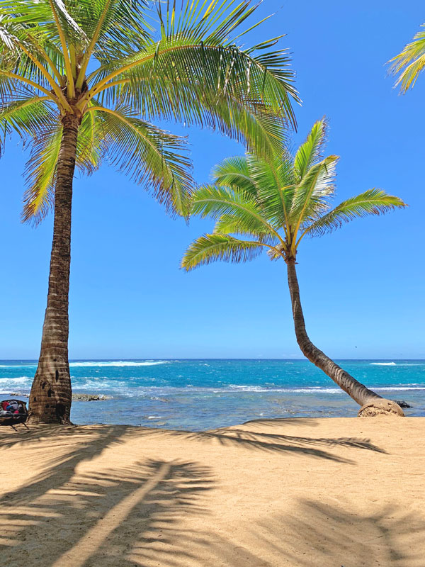 Wailea Beachfront Condo