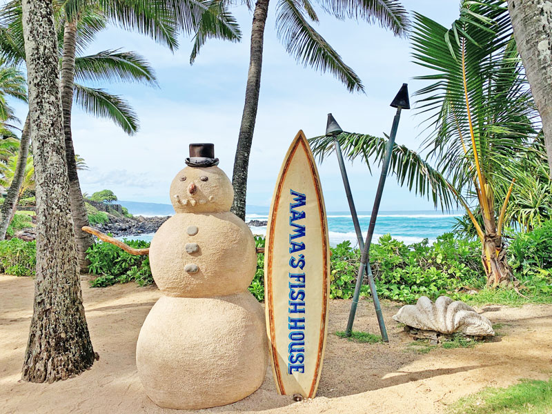 Maui Vacation Rental